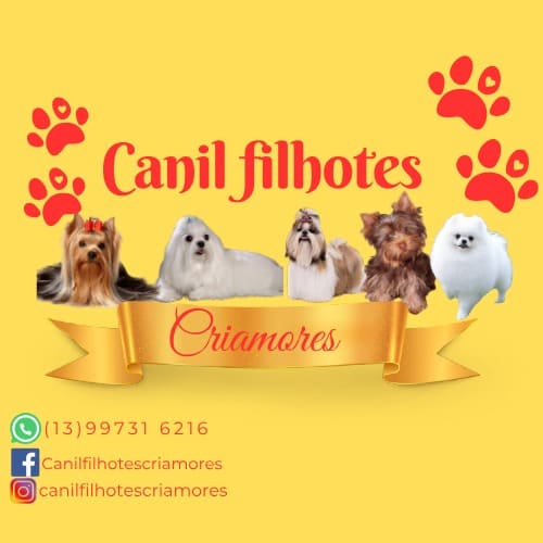 canilfilhotescriamores00005.jpeg