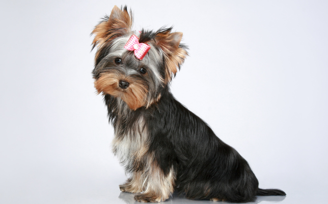 design sem nome (15)