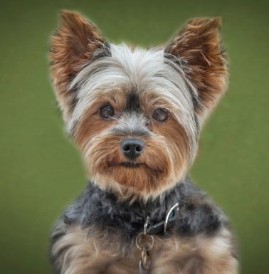 design sem nome (17)