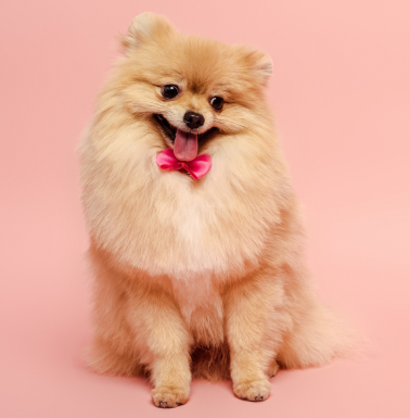 design sem nome (20)