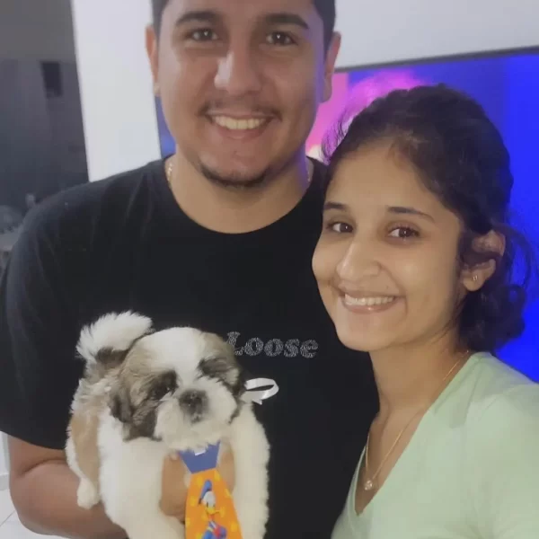 canilfilhotescriamores03.webp